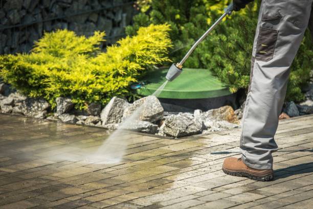 Best Driveway Pressure Washing  in Farragut, TN